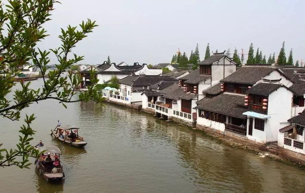 蚂蚁是昆虫吗平台-简单方便的社交问答平台
